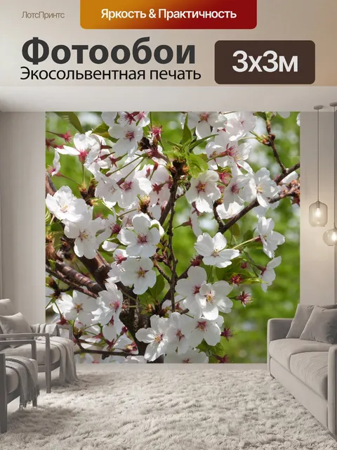 Фотообои Цветущая сакура