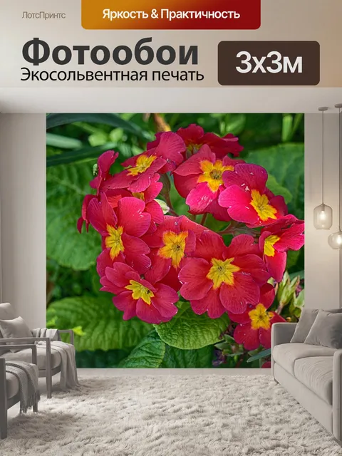 Фотообои Весенние первоцветы