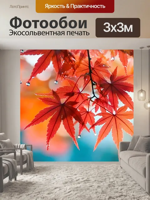 Фотообои Японский клен