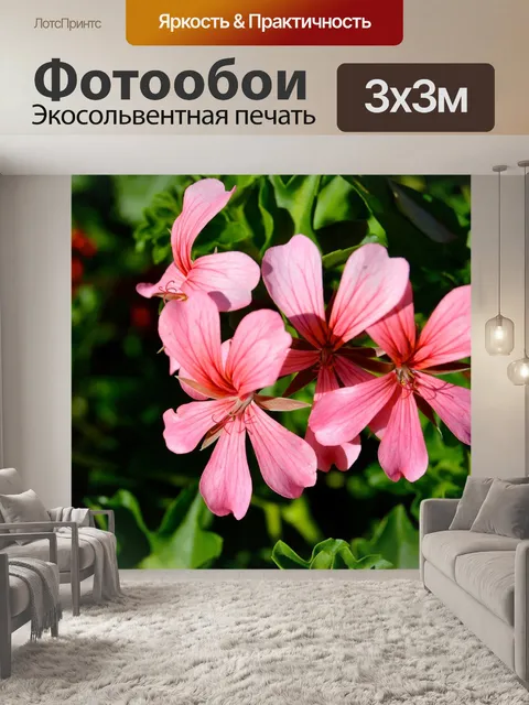 Фотообои Цветы