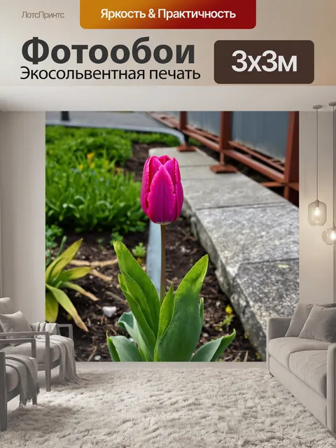 Фотообои тюльпан, растущий в городском саду, рядом с каменными плитами и металлическими конструкциями, создающий…