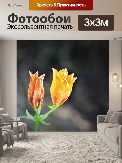 Фотообои Цветок