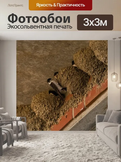 Фотообои Животные