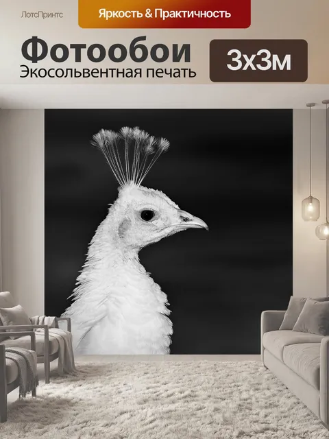 Фотообои Павлин