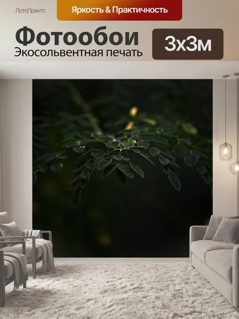 Фотообои Листья