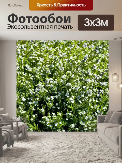 Фотообои Весна