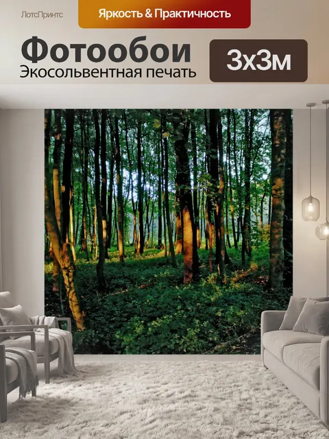 Фотообои Лес