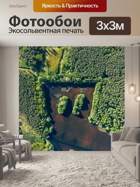Фотообои Лес