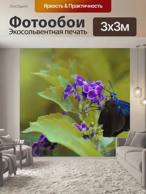 Фотообои Бабочка