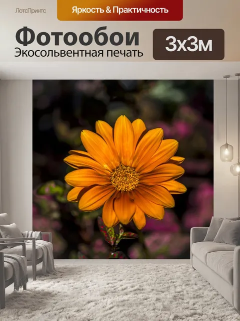 Фотообои Оранжевый цветок