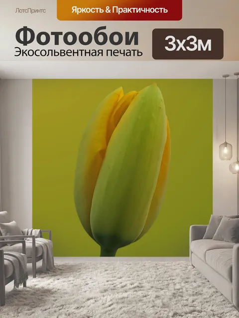 Фотообои Природа