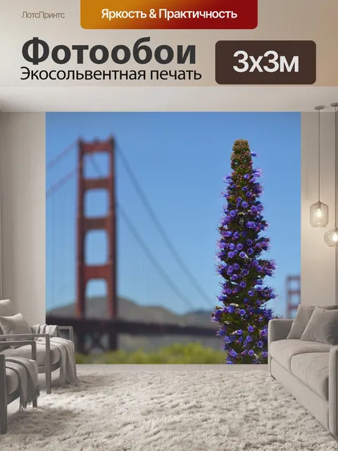 Фотообои Полевой цветок
