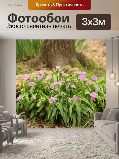 Фотообои Фиолетовый паук в саду