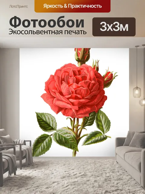 Фотообои Роза Винтаж Ботаническое Искусство