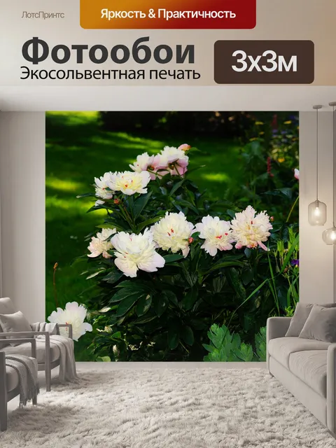 Фотообои Расцветает
