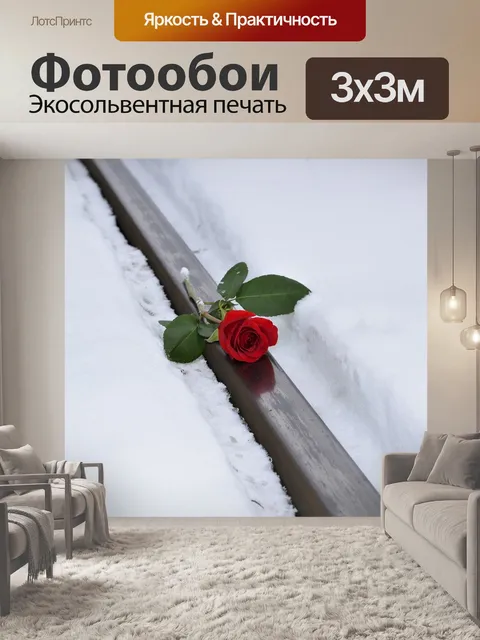 Фотообои Красная роза в снегу