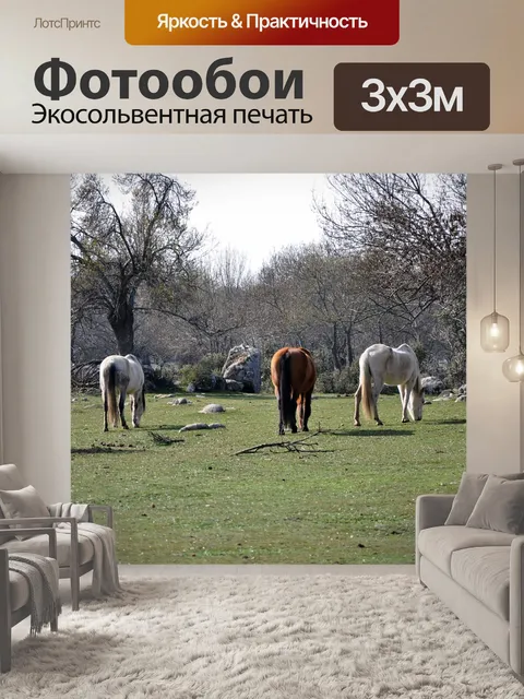 Фотообои Лошади