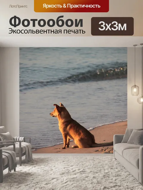 Фотообои Собака