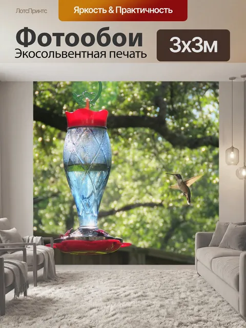 Фотообои Птицы
