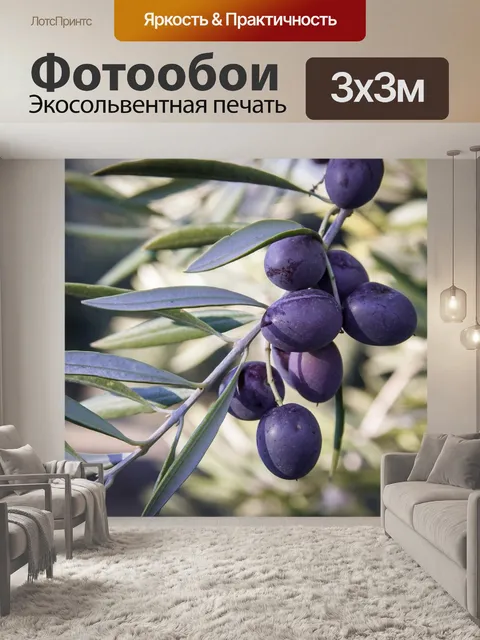 Фотообои Оливки