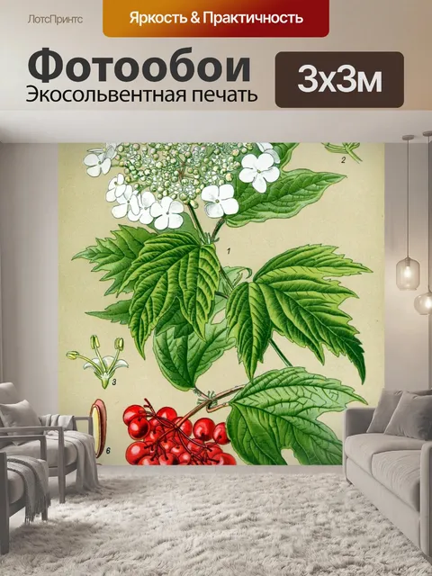 Фотообои Цветок белый винтажное искусство