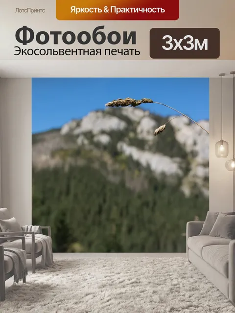 Фотообои Татры