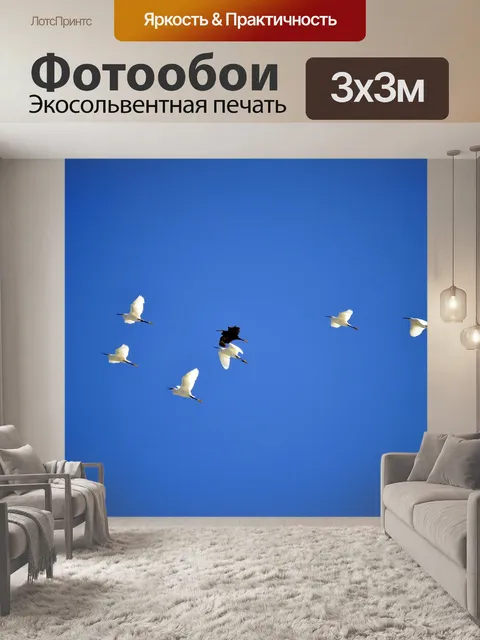 Фотообои Птицы