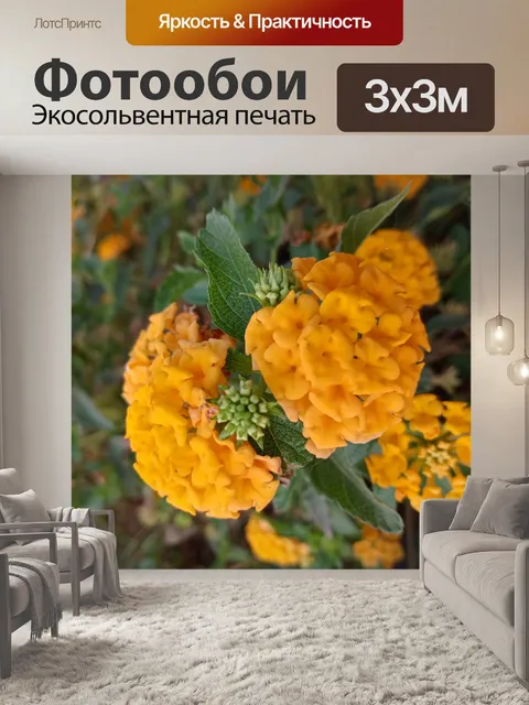 Фотообои Золотая лантана 1