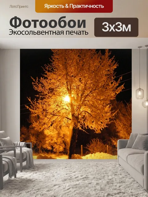Фотообои Зимние впечатления