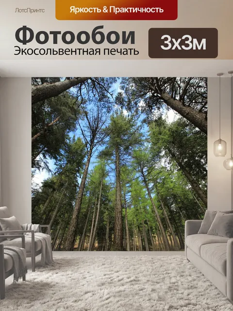 Фотообои Лес