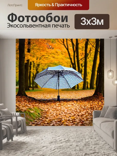 Фотообои зонт в лесу, окруженный осенними листьями