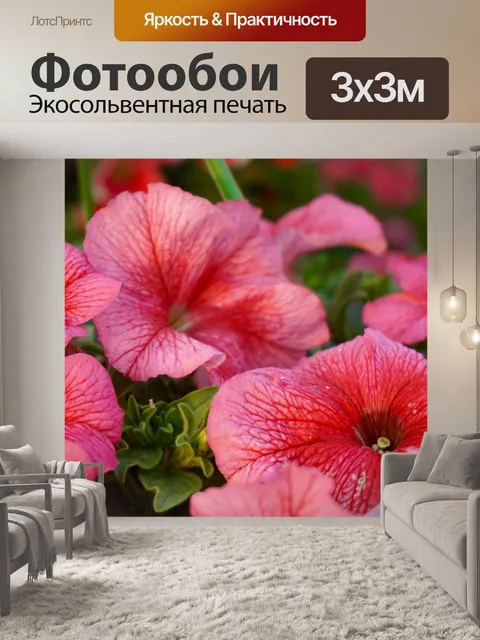 Фотообои Красивые цветы