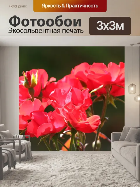 Фотообои Цветы