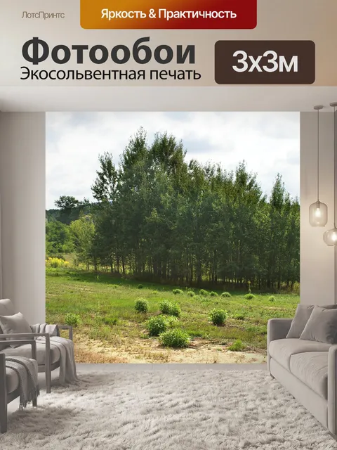 Фотообои Деревья