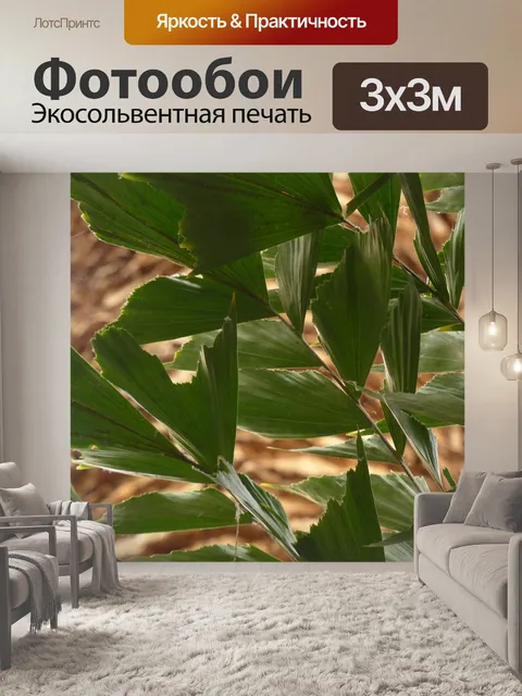 Фотообои Листья