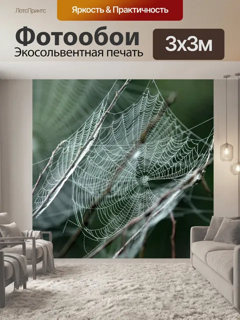 Фотообои Паутина