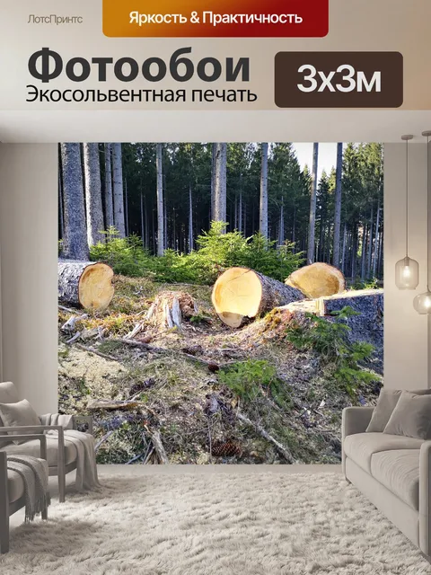 Фотообои Древесина
