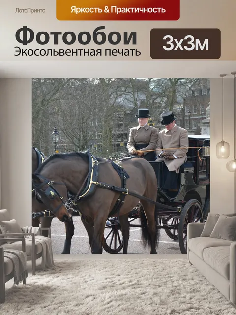 Фотообои Лошади