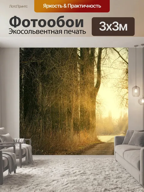 Фотообои Лесная тропа