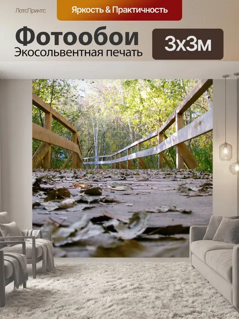 Фотообои Сеть