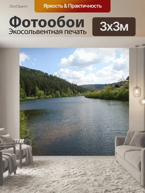 Фотообои Черный лес