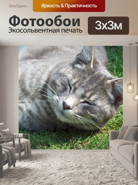 Фотообои Кошки