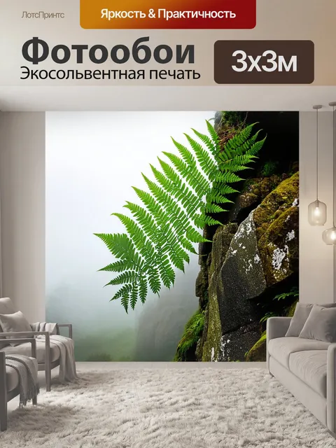 Фотообои папоротник, стройно взбирающийся вверх по каменистой скале, окружённый утренним туманом