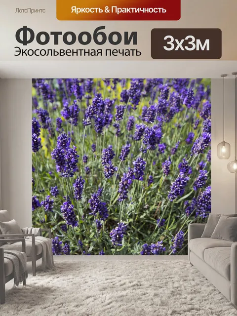 Фотообои Цветок лаванды