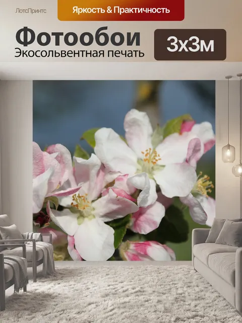 Фотообои Цветы