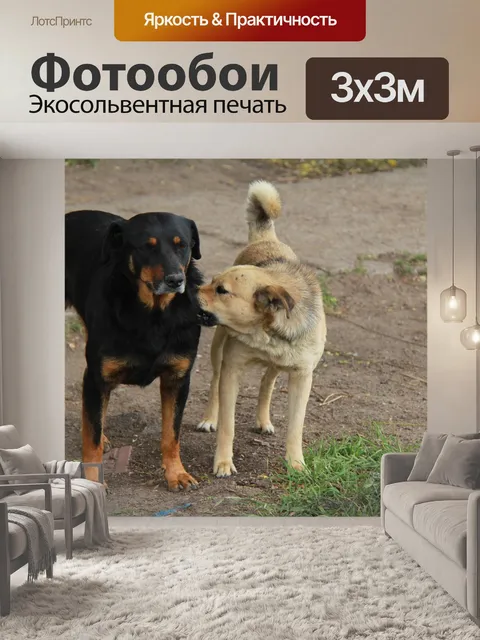 Фотообои Собаки