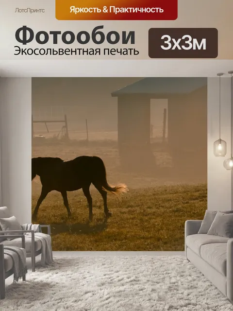 Фотообои Конный спорт