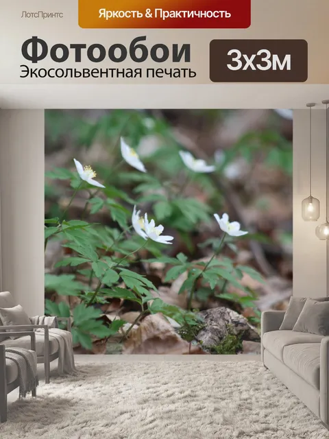 Фотообои Лес