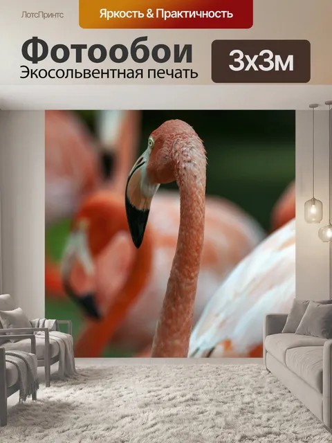 Фотообои Фламинго