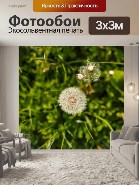Фотообои Одуванчик